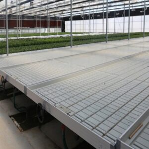 multi rooling grow tables in greenhouse